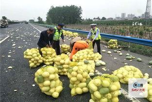 河南网红吃瓜事件视频