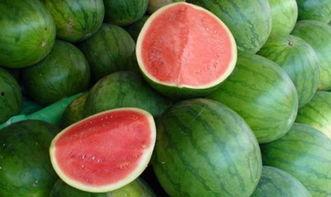 吃瓜网红大瓜热门大瓜,吃瓜网红大瓜热门大瓜盘点