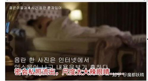 迅雷吃瓜合集网红,网红圈的那些事儿