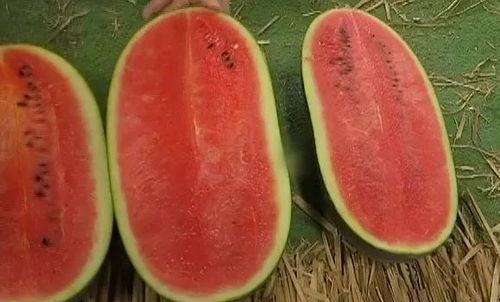 策驰影院官网吃瓜,揭秘电影世界的吃瓜盛宴