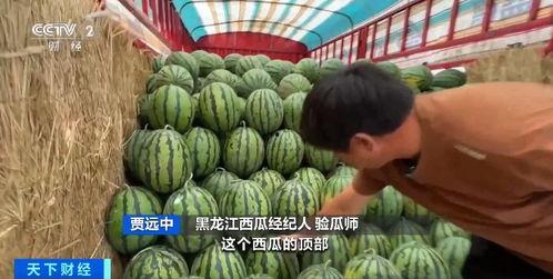 吃瓜料网热门入口,热门话题一网打尽