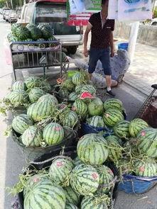 龙州网红吃瓜事件,揭秘网络舆论的风暴与真相