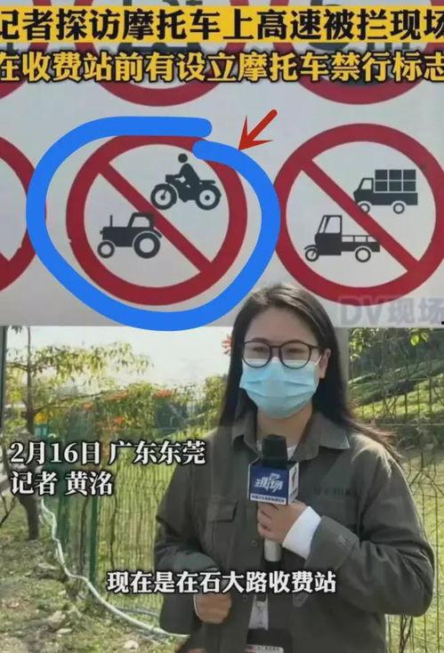 300万网红吃瓜,揭秘娱乐圈最新瓜料大揭秘！