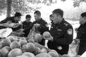 安新吃瓜网红事件最新,揭秘网络舆论的风暴与真相