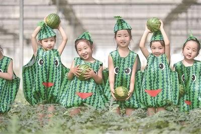 跟着网红吃瓜,揭秘网络红人的美食之旅