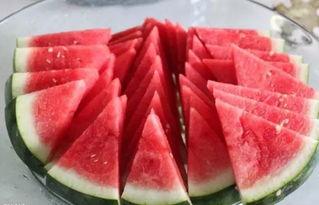 51黑科网吃瓜在线,揭秘科技圈那些不为人知的幕后故事