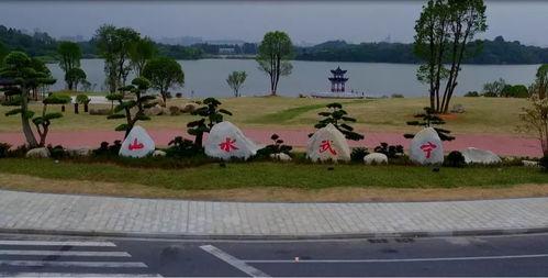 武宁县网吃瓜,揭秘网络热议背后的真相