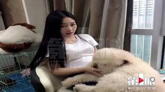 网红狗子张悦吃瓜视频在线观看,带你领略萌宠界的欢乐时光