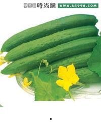 吃瓜网998.com,带你走进网络娱乐的狂欢世界