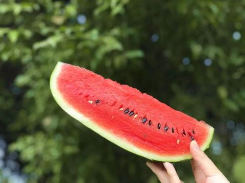 全网第一吃瓜网,揭秘娱乐圈幕后真相，带你领略不一样的娱乐圈风云