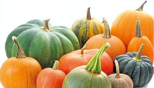 地瓜网吃瓜会员