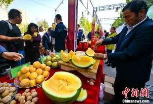 吃瓜网利世,带你走进网络舆论的漩涡