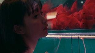 吃瓜网少女神探,揭秘娱乐圈背后的秘密