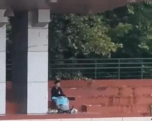 荷兰网红吃瓜事件视频,吃瓜事件引发网友热议