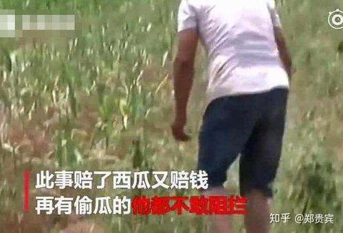 荷兰网红吃瓜事件视频,吃瓜事件引发网友热议