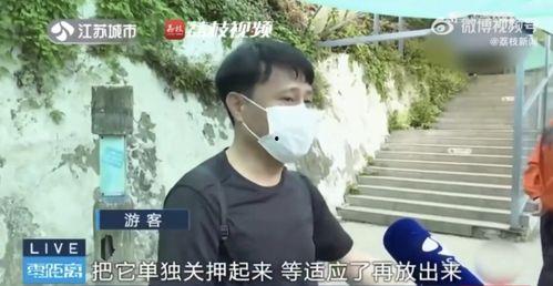 吃瓜网红被拐卖,揭开网络背后的黑暗面