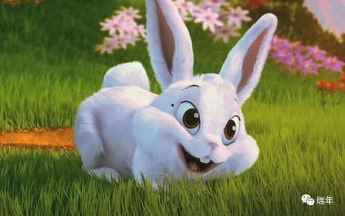 台湾网红小兔子吃瓜事件,揭秘网络舆论的狂欢与反思