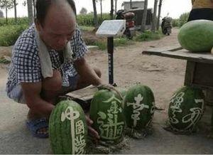 商洛网红吃瓜事件真相视频