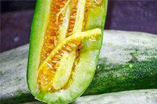 各种网红吃瓜的有谁,揭秘娱乐圈幕后大瓜