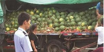 山南网红吃瓜事件视频,揭秘网络舆论背后的真相