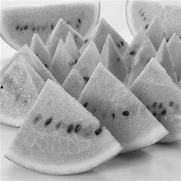 吃瓜神器网红款