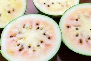 建湖网红吃瓜事件真相是真的吗