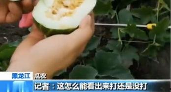 建湖网红吃瓜事件真相,真相背后的网络风波