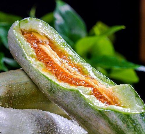 山东吃瓜最新视频播放网