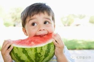 吃瓜网红故事简介图片,揭秘网红吃瓜背后的故事