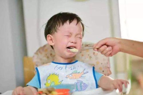 吃瓜网红事件婴儿视频,婴儿视频引发的网络热议与反思